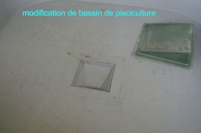 bassins de pisciculture