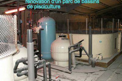 bassins de pisciculture